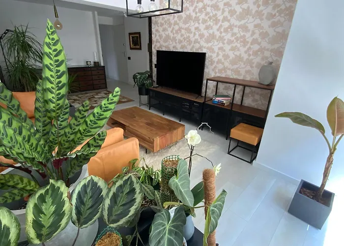 Piso Moderno Y Centrico Dos Salones Lejlighed